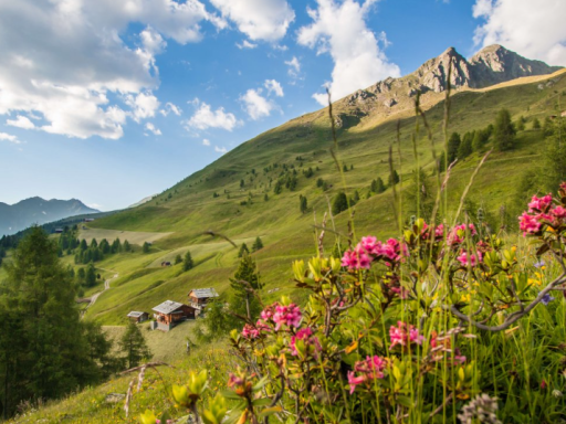 Berg- & Wanderwoche Gsieser Tal und Pragser Dolomiten der AV Sektion Vöcklabruck